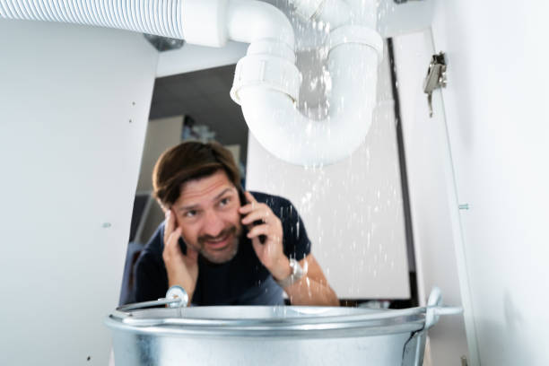Best Affordable Plumbing Services  in Buenaventura Lakes, FL