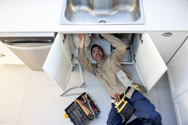 Best Plumbing Inspection Services  in Buenaventura Lakes, FL