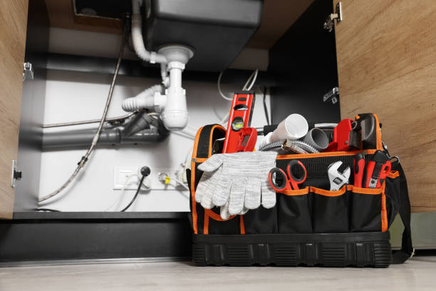 Best Affordable Plumber Near Me  in Buenaventura Lakes, FL